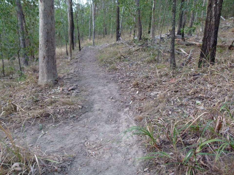 Looking back toward the switchback